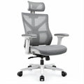 Ergonomiczny obrotowy fotel biurowy z regulowanym zagłówkiem, szary, 65 x 65 x 118–128 cm